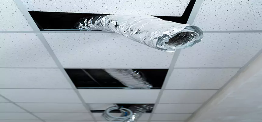 Affordable HVAC Sanitizing After Pest Removal in Waukegan