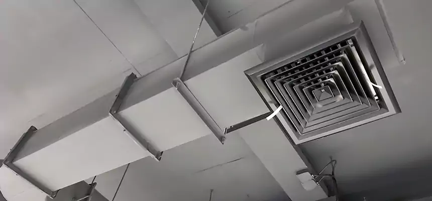 Our Pest Removal From Ducts Services in Waukegan, IL