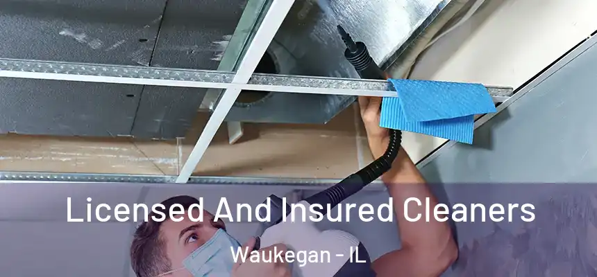 Licensed And Insured Cleaners Waukegan - IL
