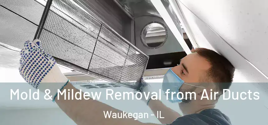 Mold & Mildew Removal from Air Ducts Waukegan - IL