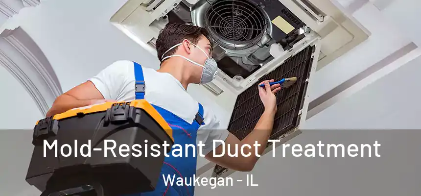 Mold-Resistant Duct Treatment Waukegan - IL