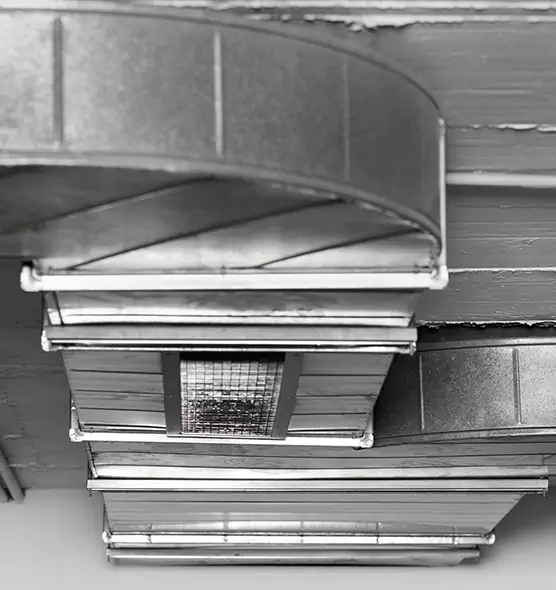 Professional Air Duct Pest Removal in Waukegan, IL