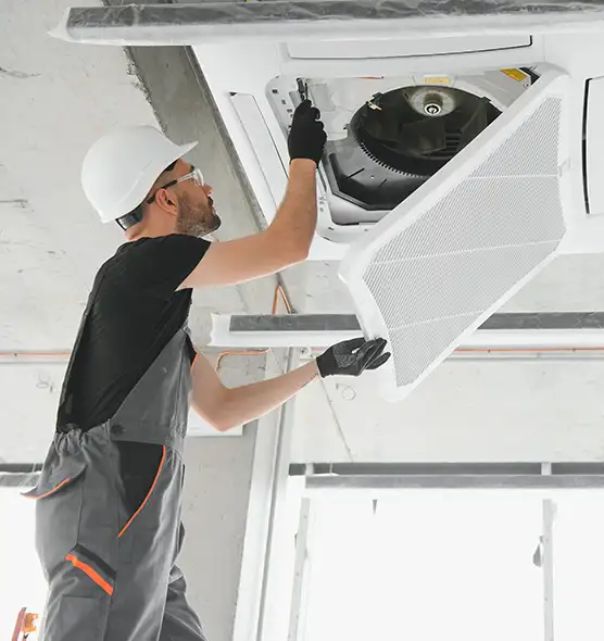 About Air Duct Rodent Removal in Waukegan, IL