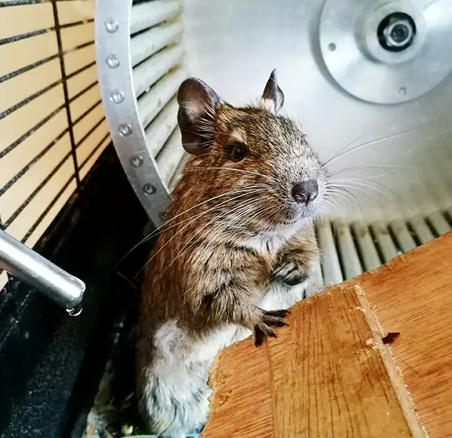 Why Homeowners & Businesses Trust Us Waukegan, IL