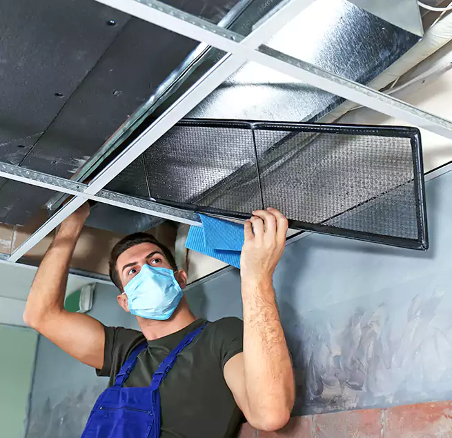 Why Homeowners Businesses Trust Us in Waukegan, IL