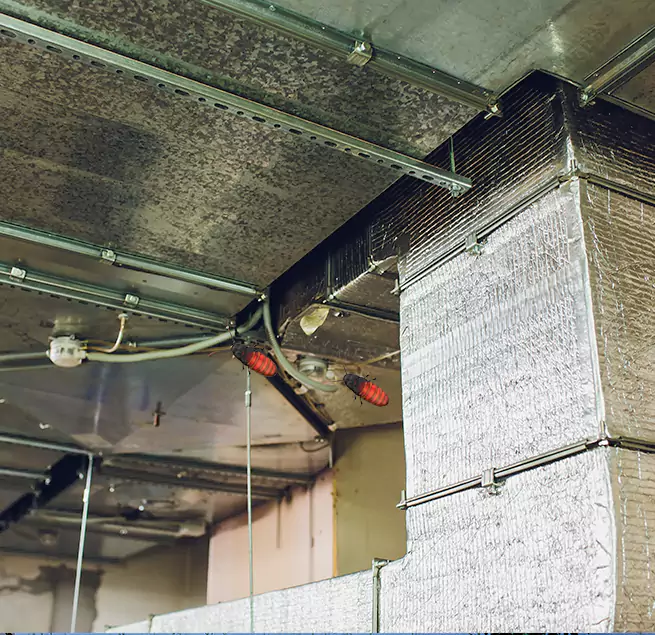 Why Homeowners & Businesses Trust Us Waukegan, IL?