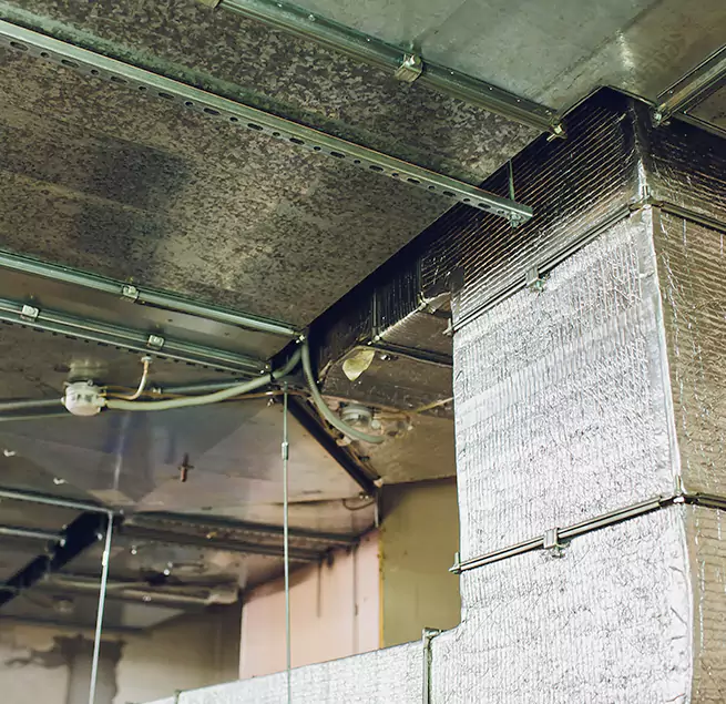 Why Homeowners & Businesses Trust Us in Waukegan, IL?